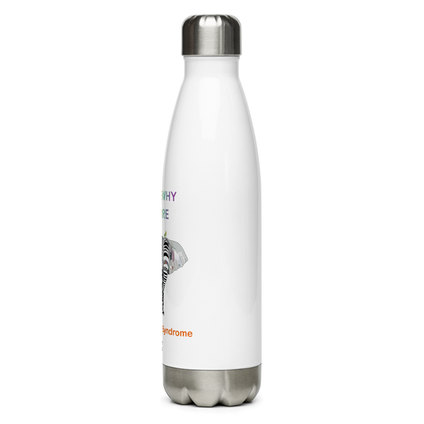 Stainless Steel Water Bottle