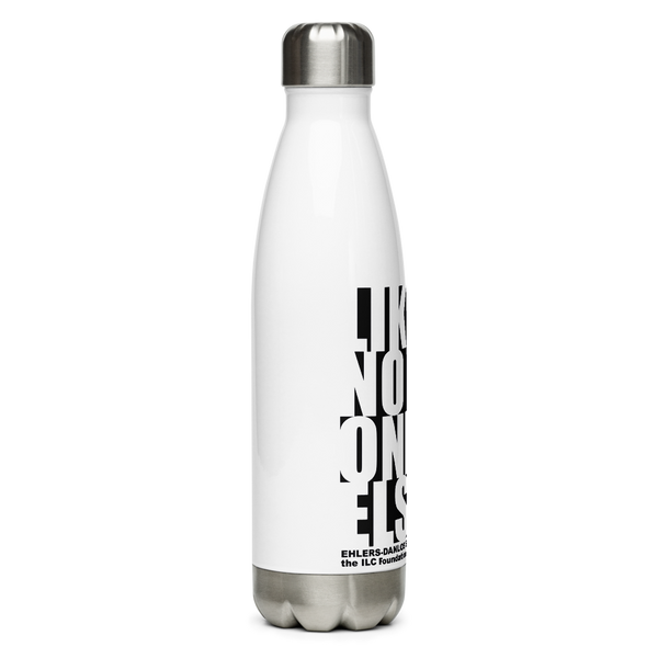 Stainless Steel Water Bottle